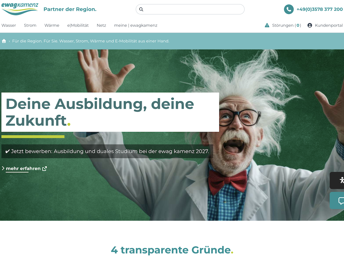 ScreenShot Website